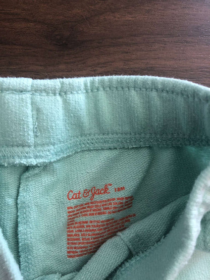 Cat & Jack Toddler Mint Green Shorts, 12-18M, Kids 18 Month (12-18M)