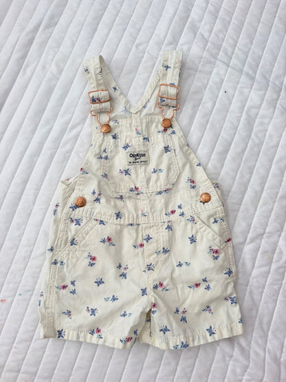 Dungaree , Kids 2T