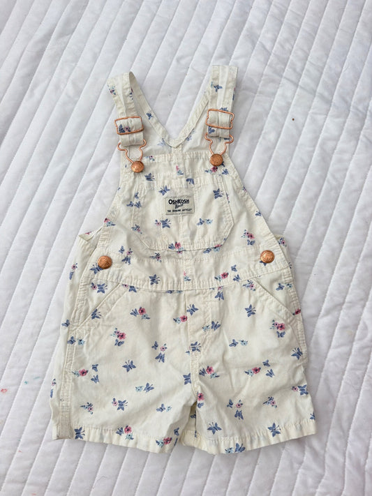 Dungaree , Kids 2T
