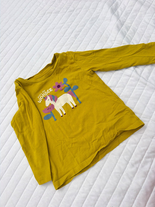 T shirt , Kids 2T