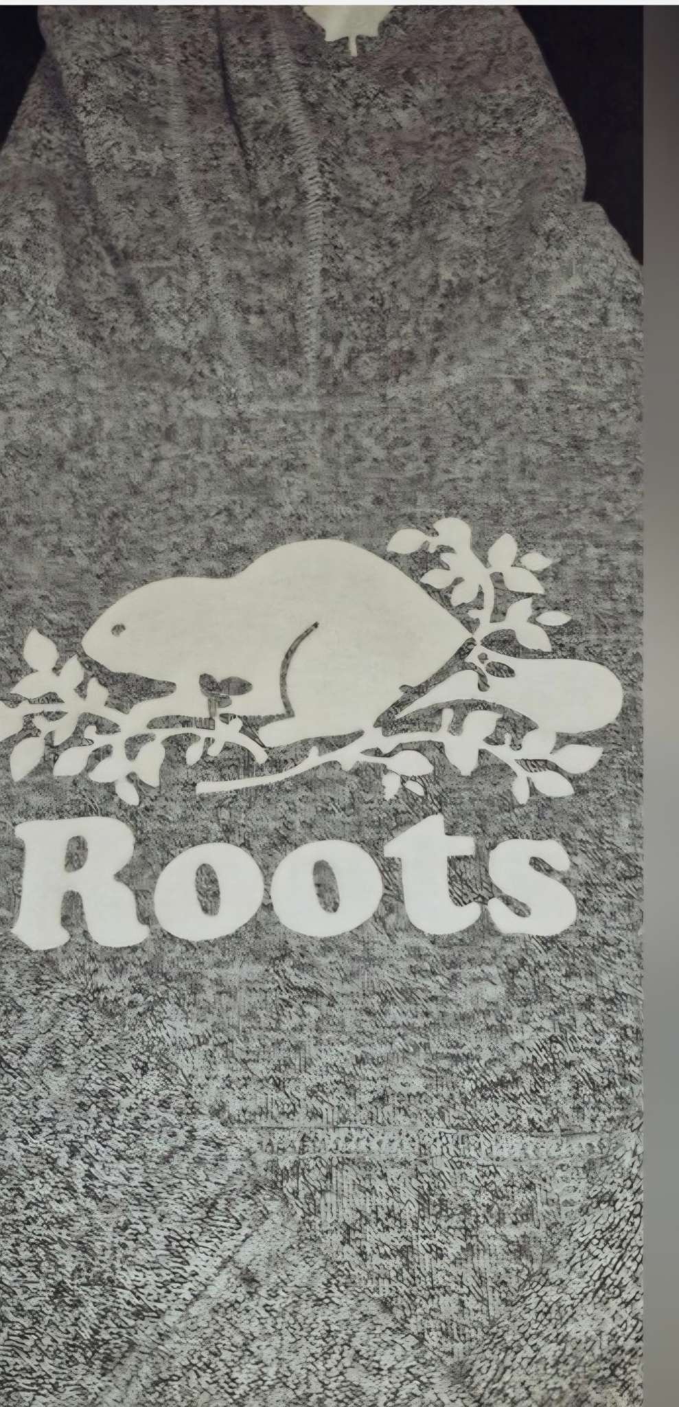 Roots Hoodie , Kids 8