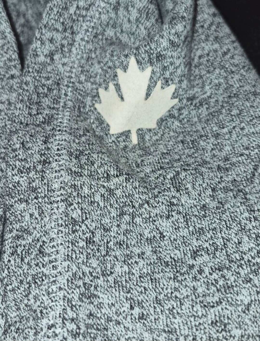 Roots Hoodie , Kids 8