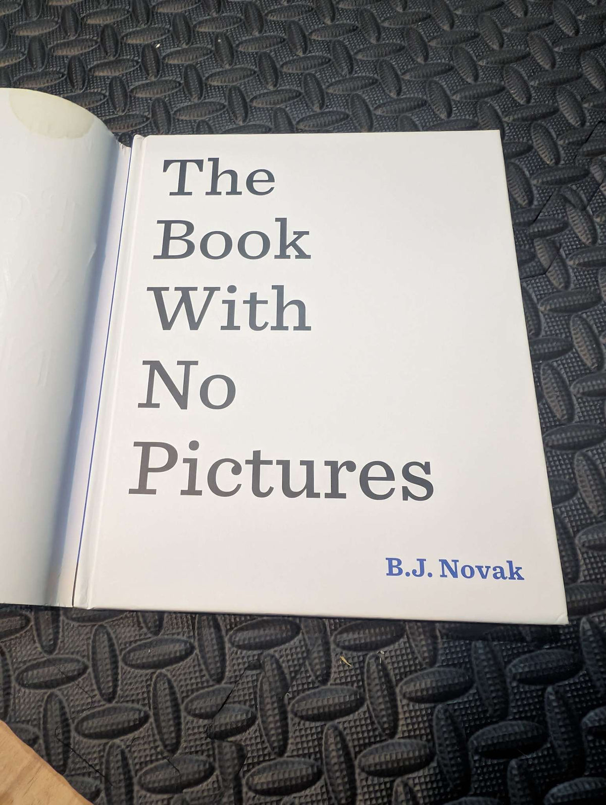 The book with no pictures