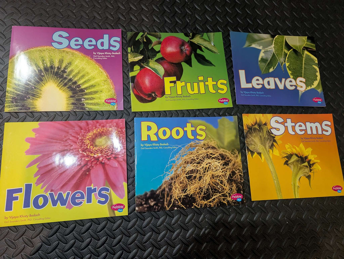 Plants collection