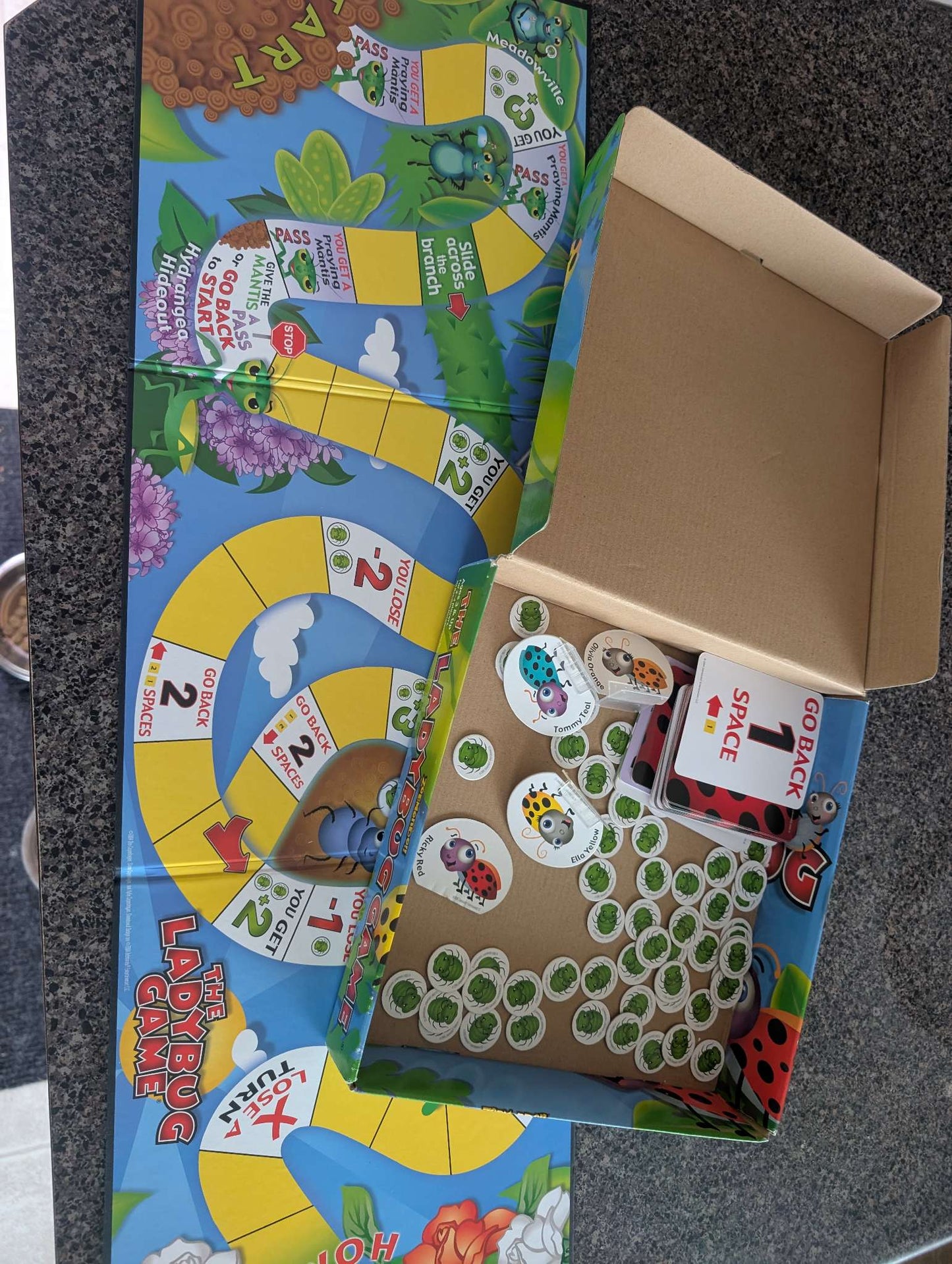 The Ladybug Game