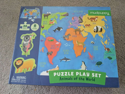 World map puzzle