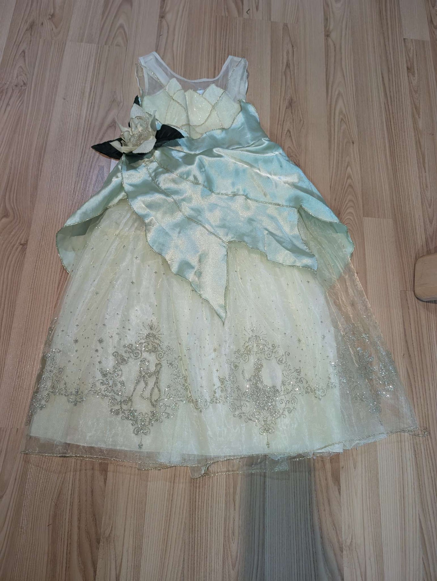 Tiana Costume, Kids 5/5T