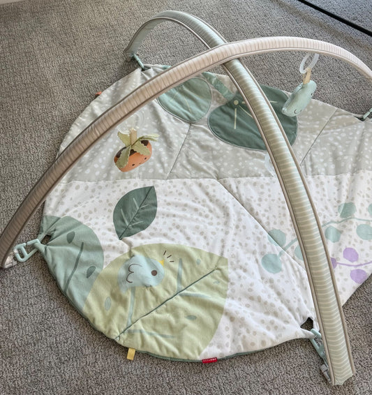 Skip Hop Garden Oasis Play Gym