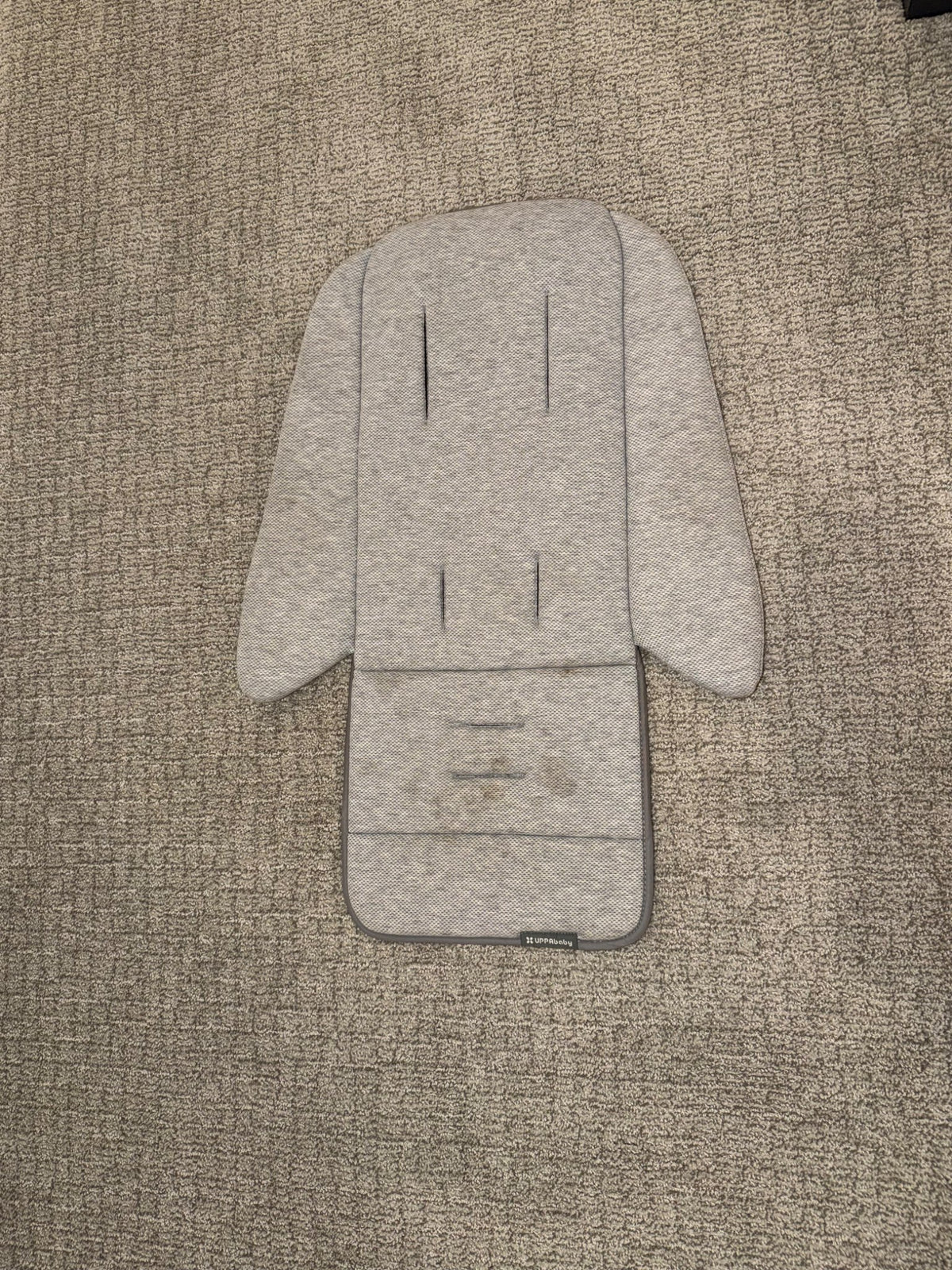 Vista/Cruz V2 Infant SnugSeat