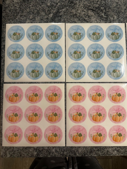 Gender Reveal party Decorations and Stickers