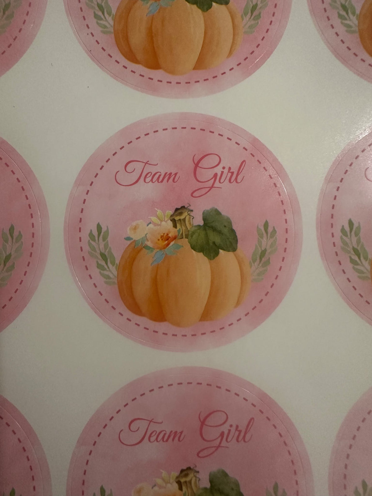 Gender Reveal party Decorations and Stickers
