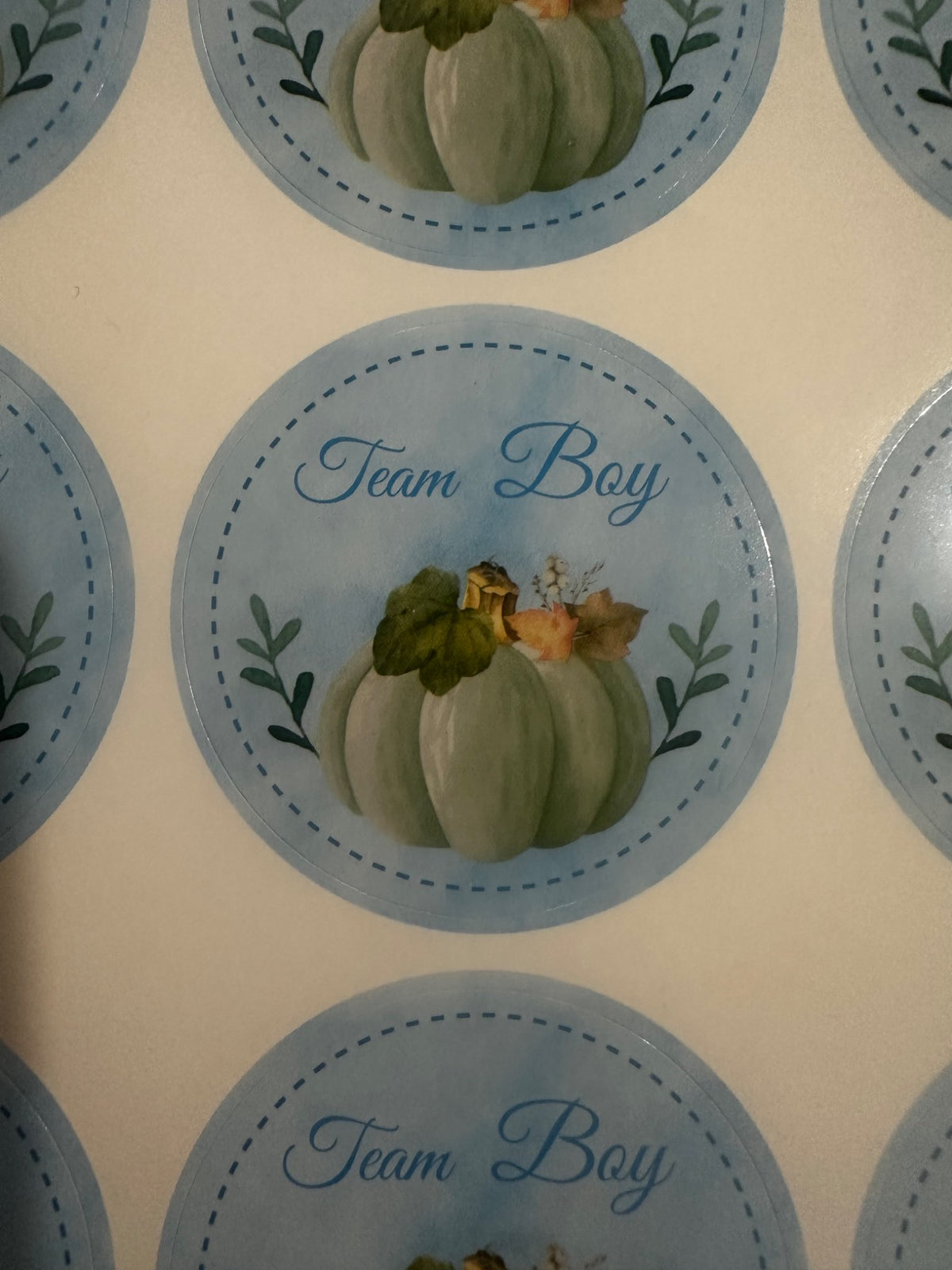 Gender Reveal party Decorations and Stickers