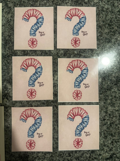 Gender Reveal party Decorations and Stickers