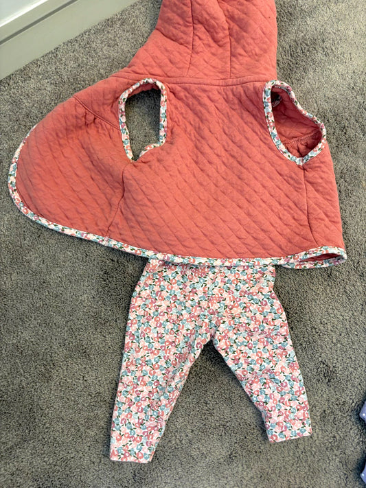 Carter's spring or fall floral legging and vest outfit (3-6 m), Kids 6 Month (3-6M)
