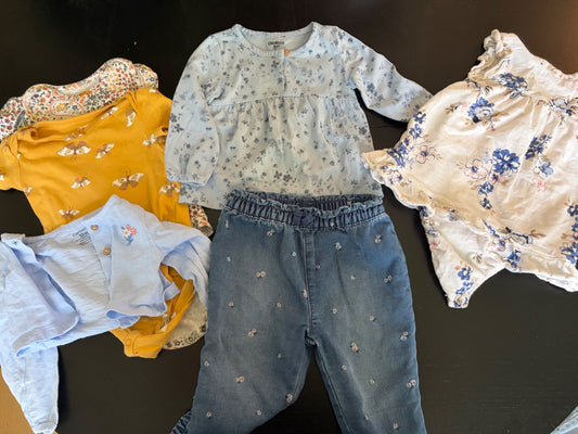 Carter's 12 month girl's clothing bundle (dress, sweater, pants, onesie, shirt)  - mix and match, Kids 12 Month (9-12M)