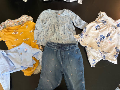 Carter's 12 month girl's clothing bundle (dress, sweater, pants, onesie, shirt)  - mix and match, Kids 12 Month (9-12M)