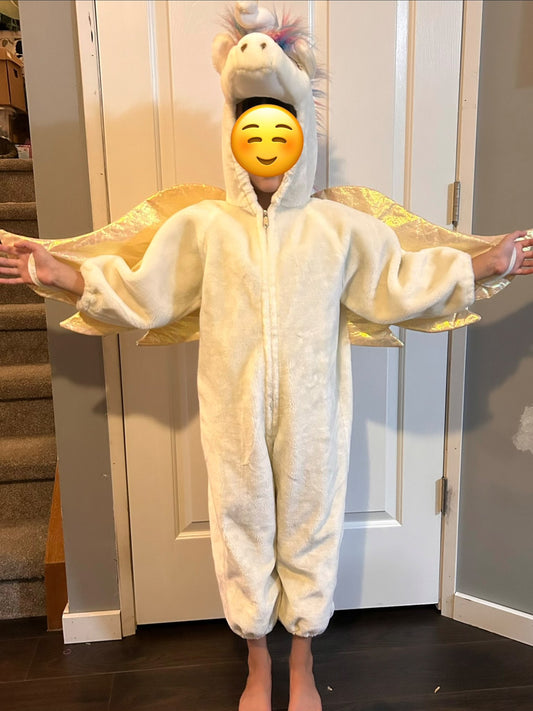 Unicorn costume , Kids 6/6X