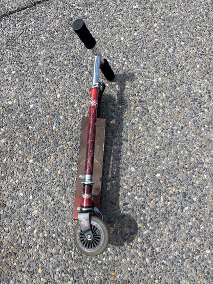 Rawlings scooter