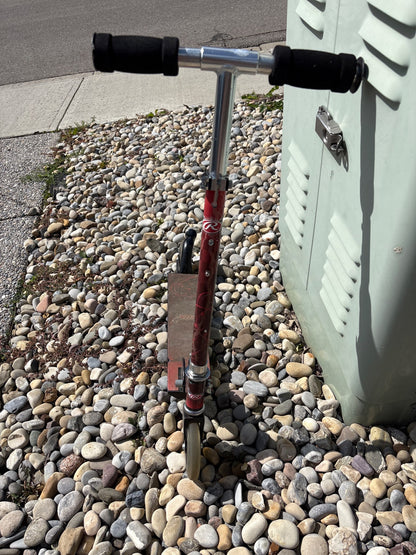 Rawlings scooter