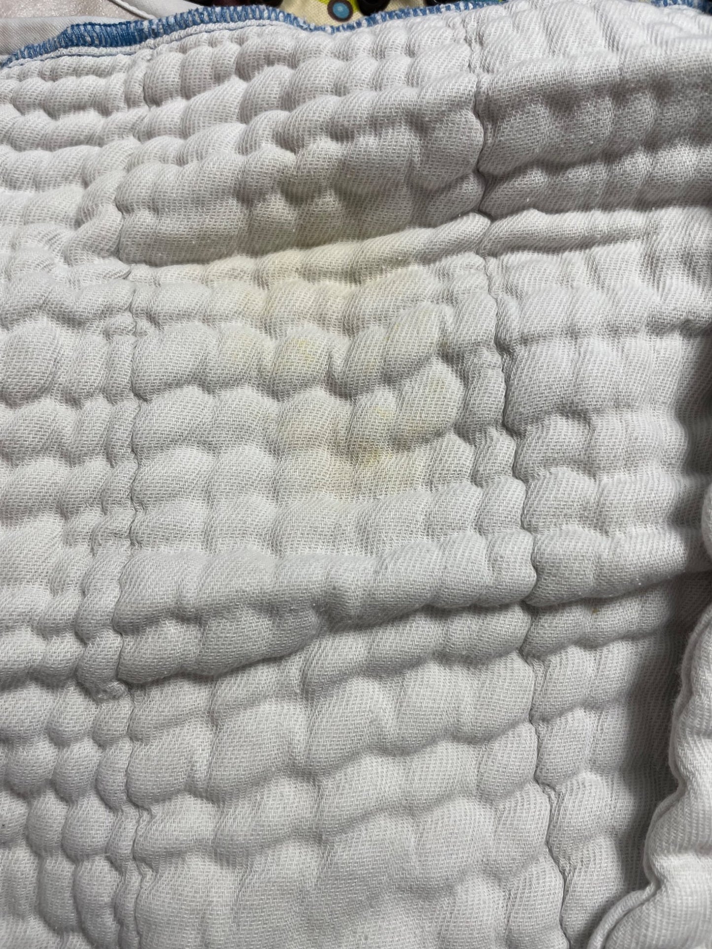 Newborn Cloth Diapers with inserts and boosters
