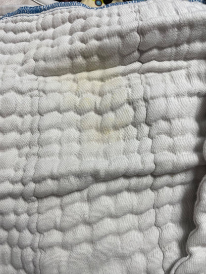 Newborn Cloth Diapers with inserts and boosters