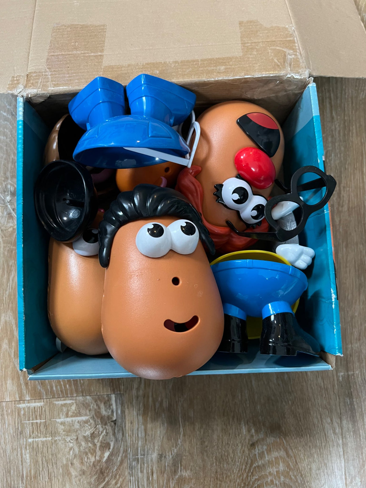 Potato Head Family