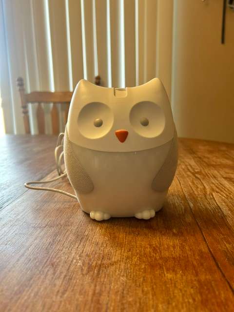 Owl Night Light