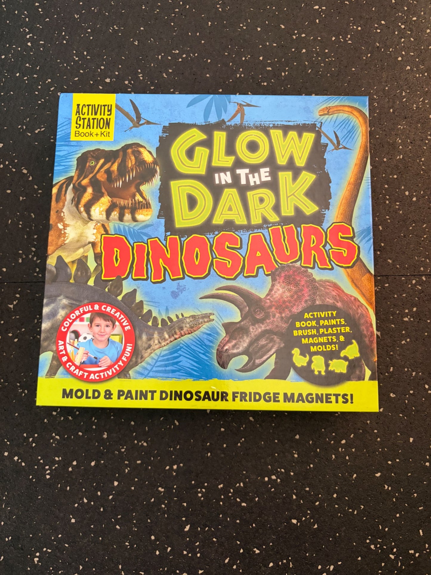Brand new Glow in the dark Dino activity + book kit