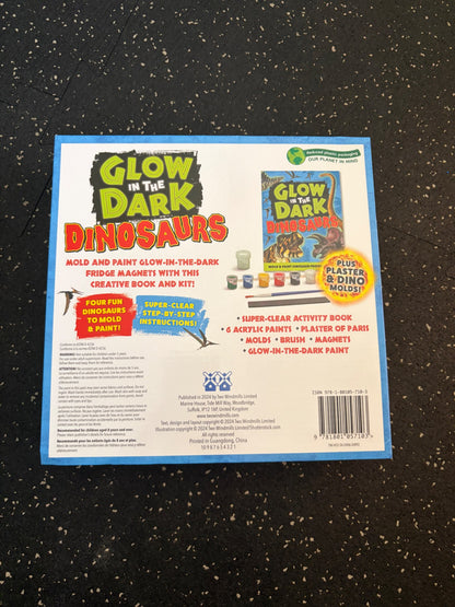 Brand new Glow in the dark Dino activity + book kit