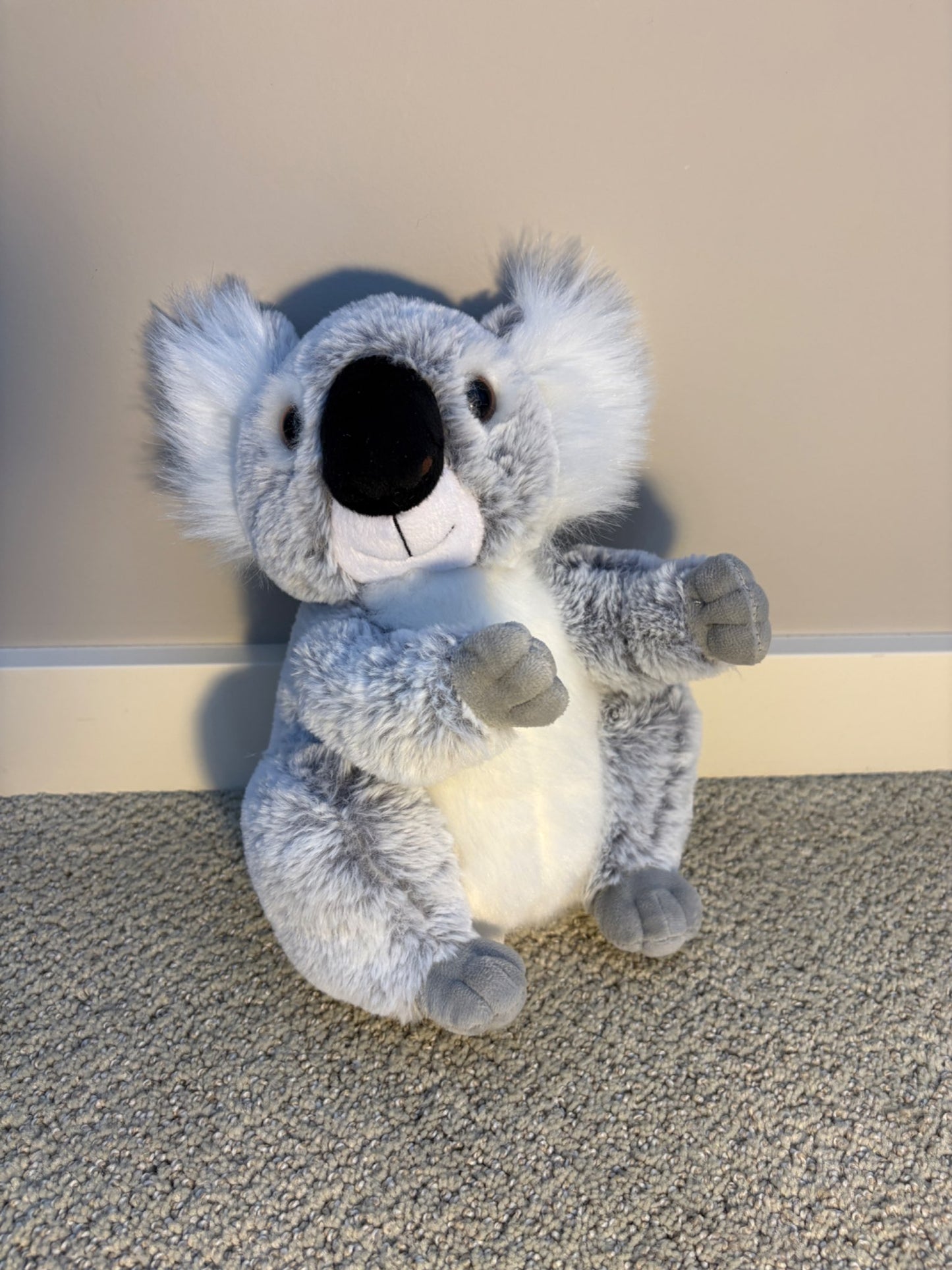 Warm buddy koala