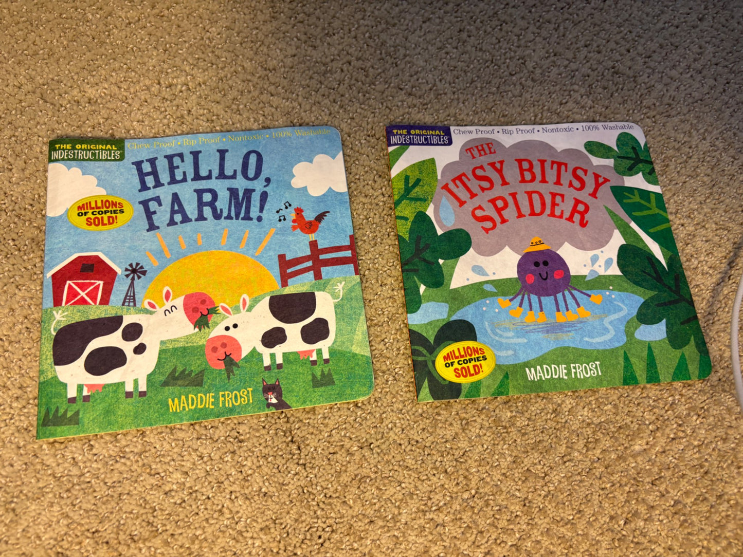 The original indestructibles books