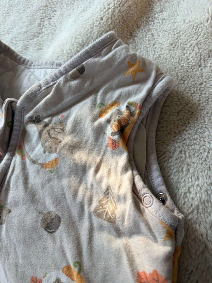 Baby Sleep Sack 2.5 TOG 18-36m, 18-24 Months (Extra Large)