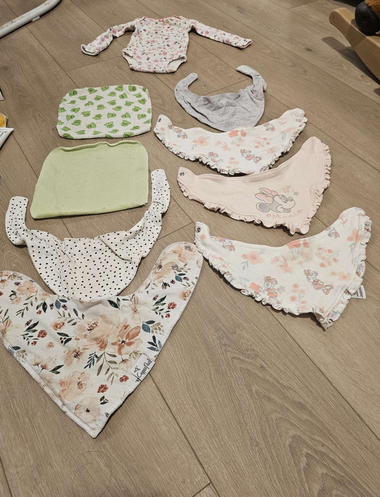 Baby Bibs and Onesie