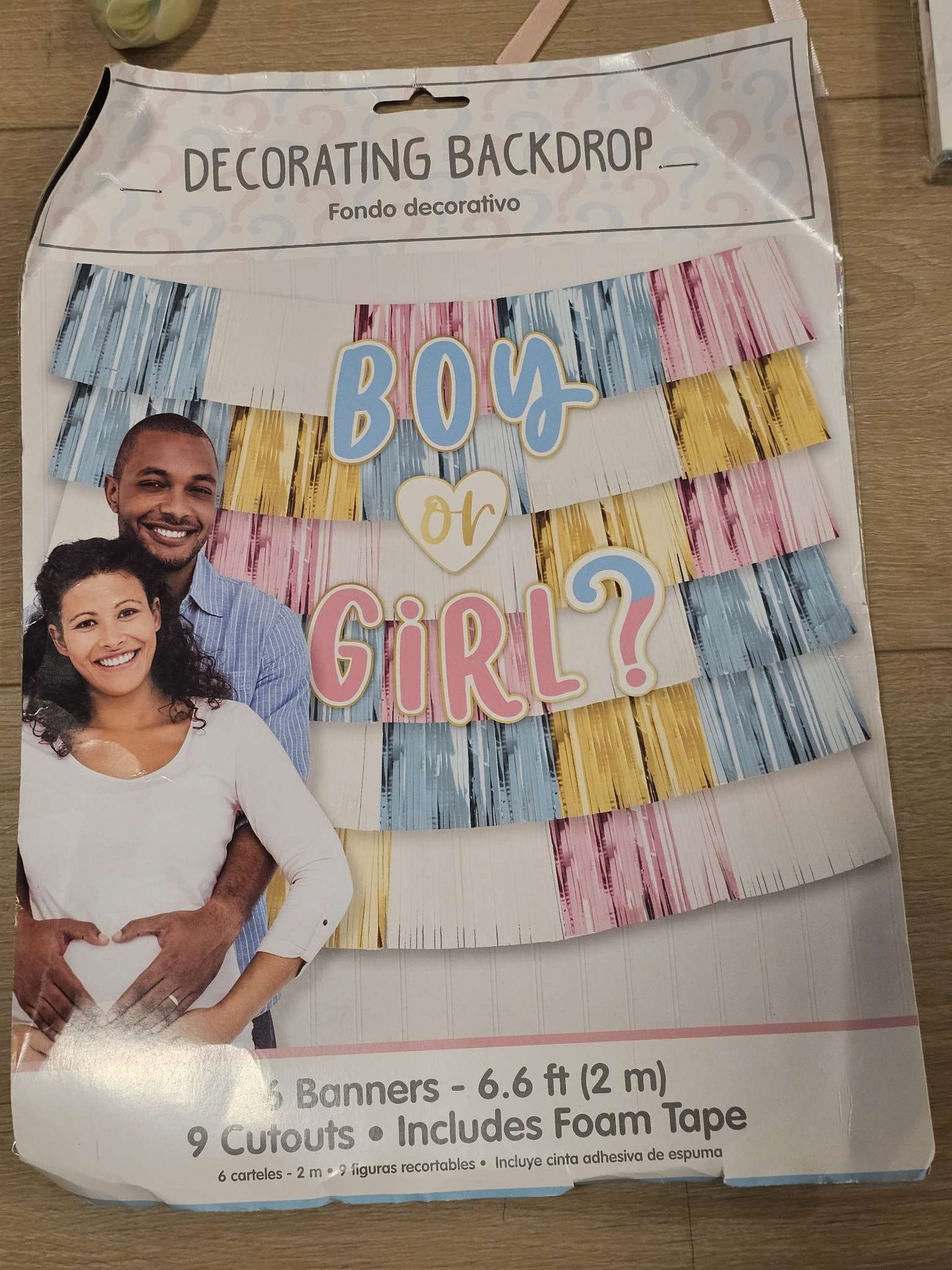 Pastel Balloon Arch Kit and "Boy or Girl?"  Background Decoration Gender Reveal