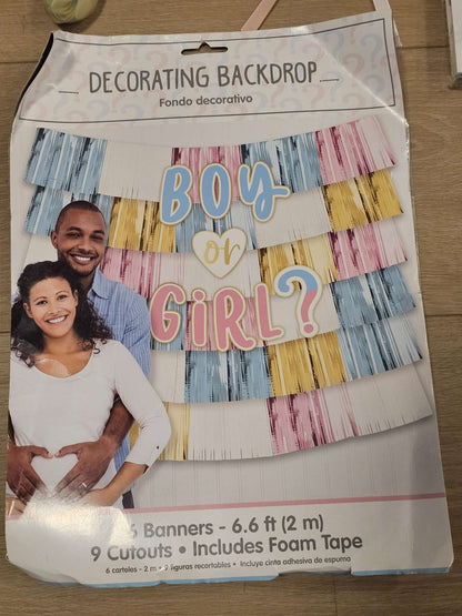 Pastel Balloon Arch Kit and "Boy or Girl?"  Background Decoration Gender Reveal