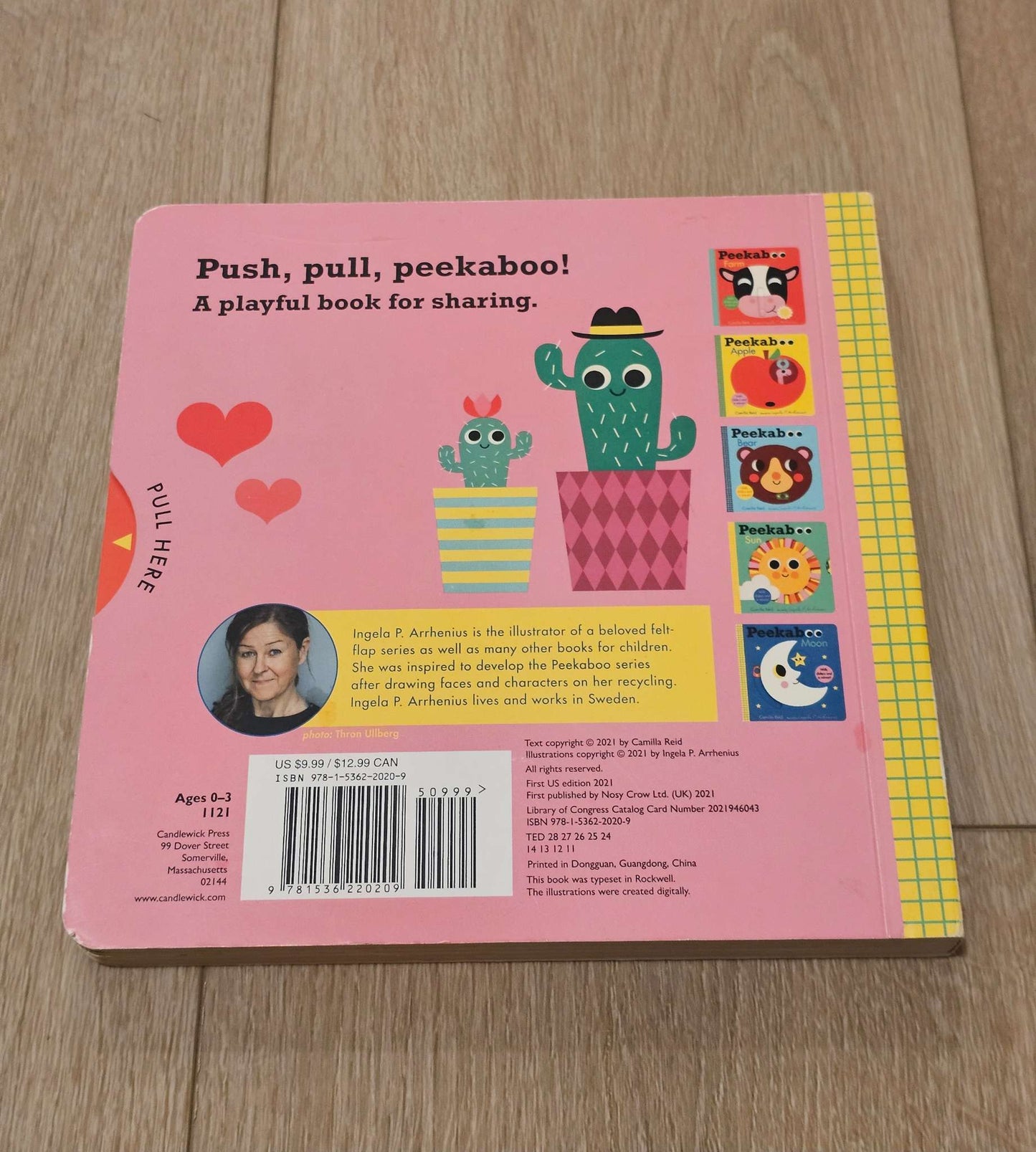 Baby & Toddler Peekaboo Book