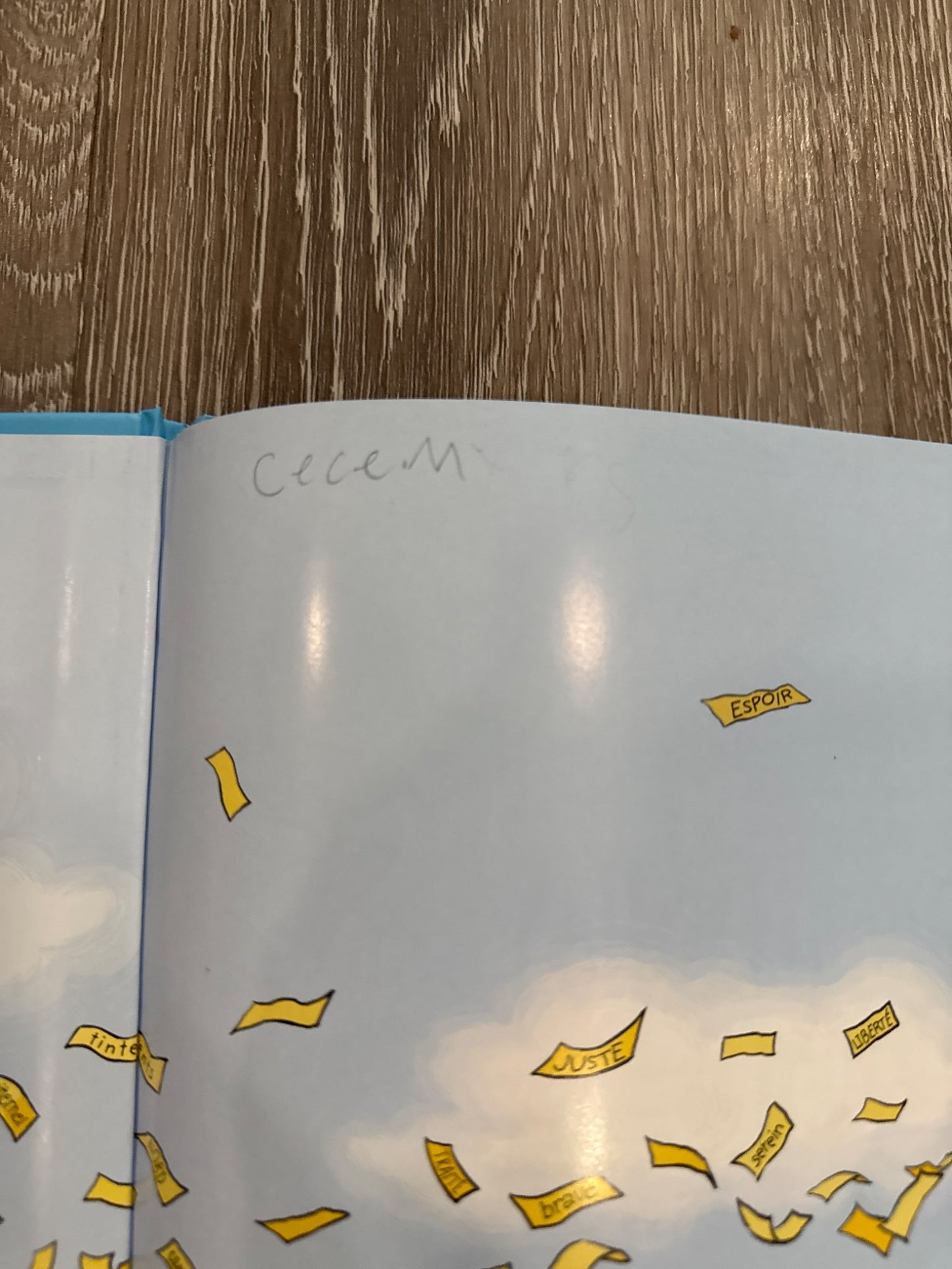 Le Collectionneur de Mots