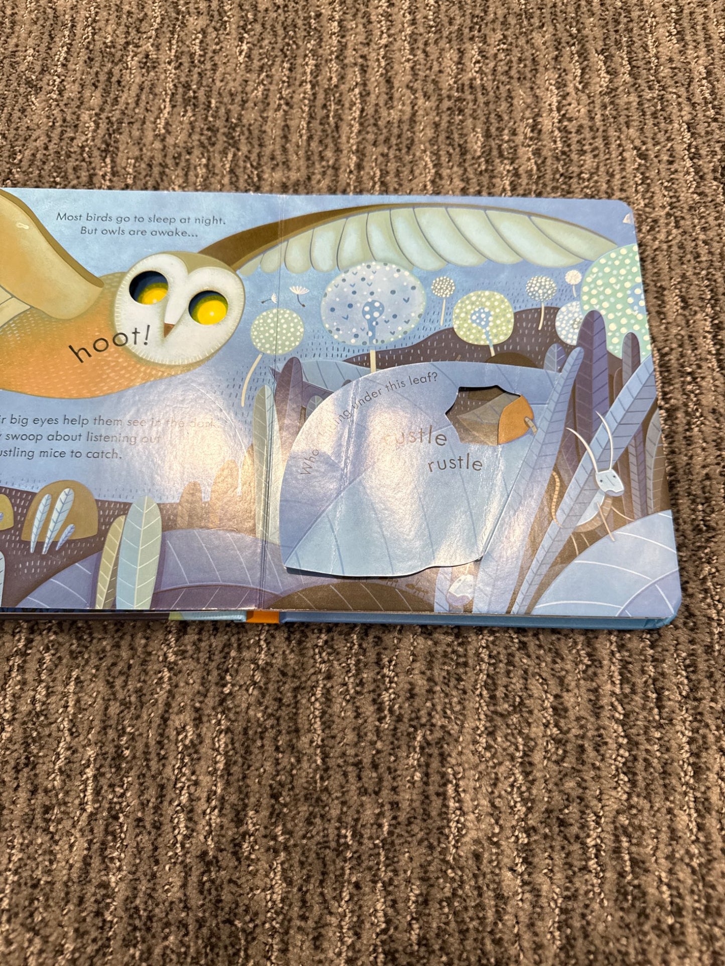 Usborne peep inside Night Time