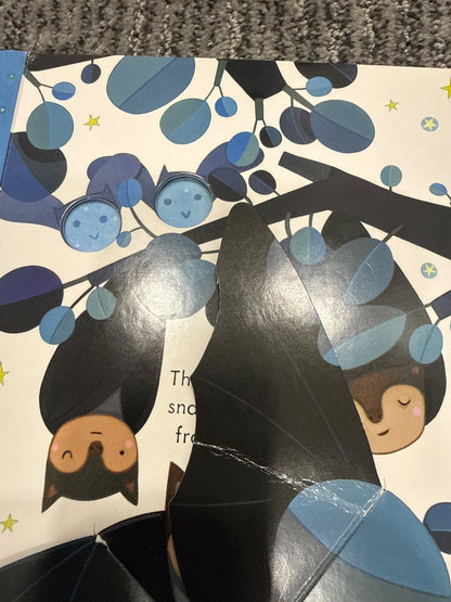 Usborne peep inside Night Time