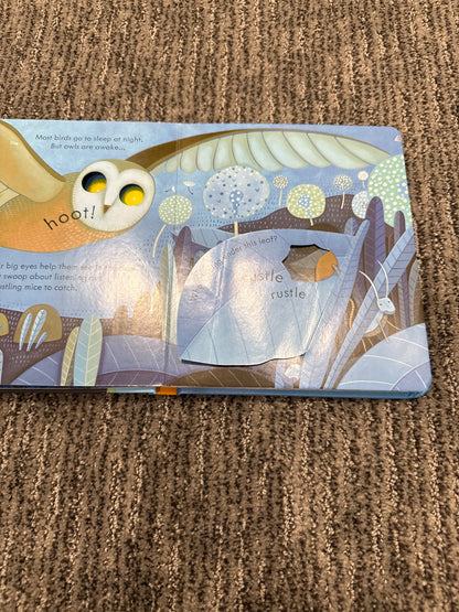Usborne peep inside Night Time