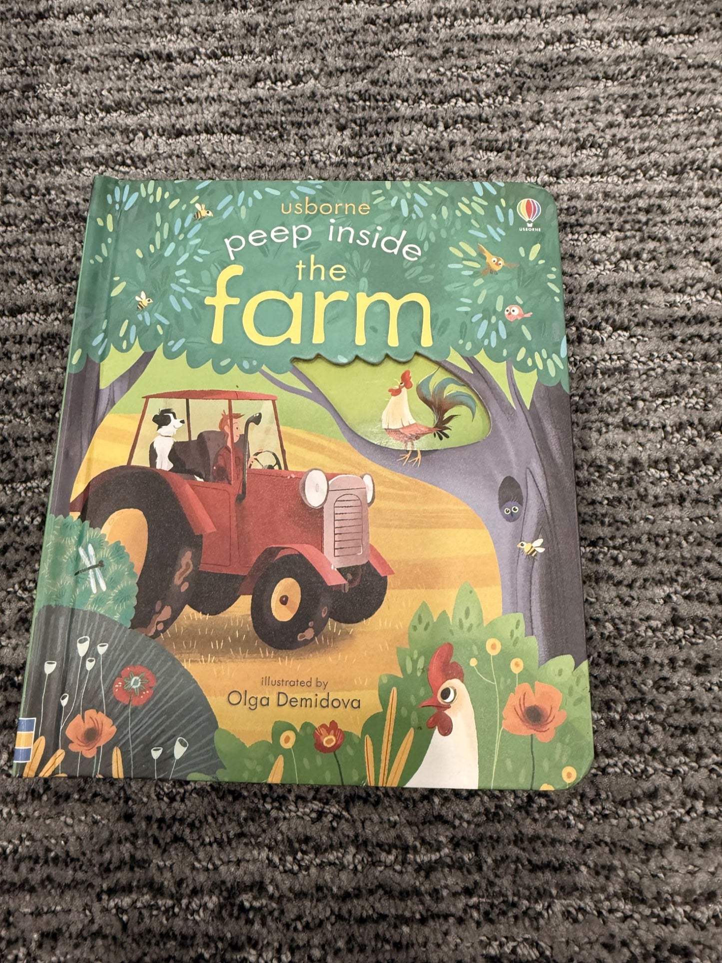 Usborne Peep Inside books