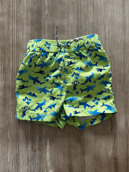 Short bundle 6-12month, Kids 18 Month (12-18M)