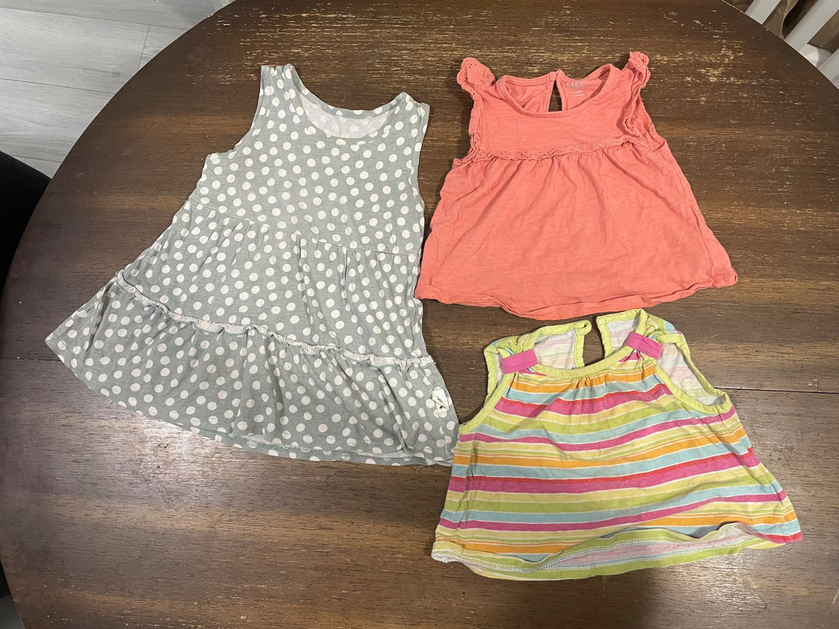 Bundle tops and dress (9-18months)