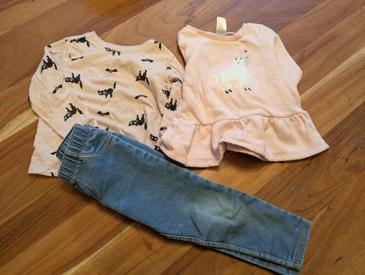 2T bundle 3 pcs (shirt, pants, shirt)  toddler girl (ON, Carter's, Cat/Jack), Kids 2T
