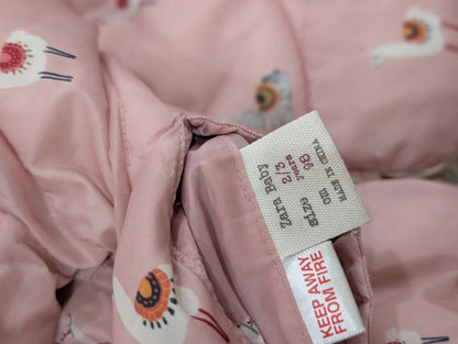 Zara winter jacket size 2-3, Kids 2T