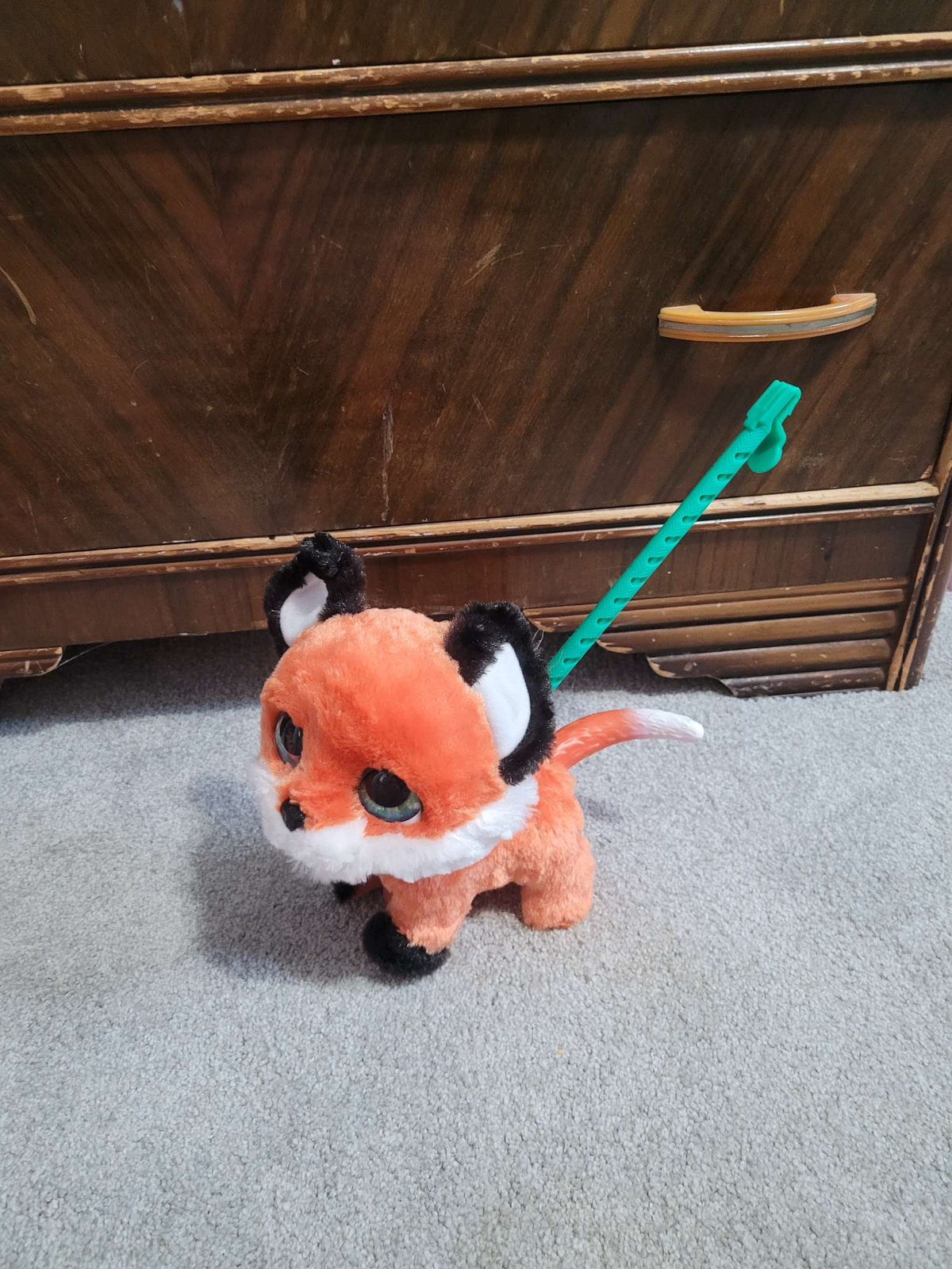 Fox push along toy.