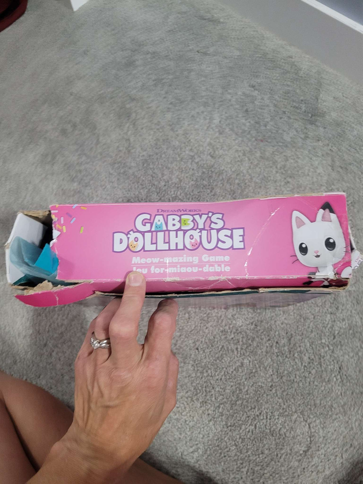 Gabby's Dollhouse Game