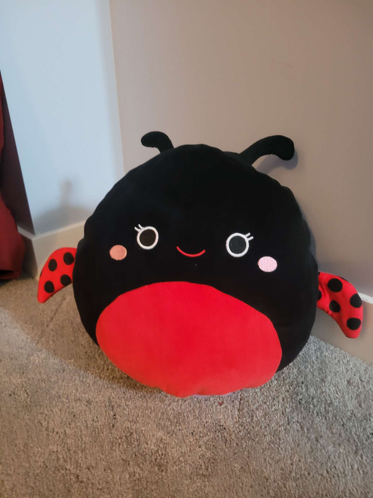 Two in one Squishmallow
