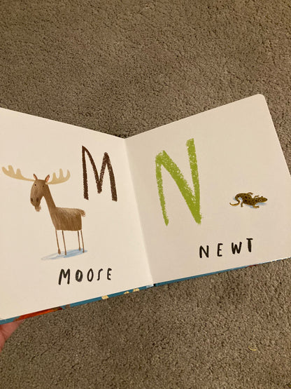 Here We Are - Book of Animals - brand new Board Book