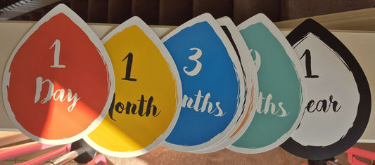 Rainbow Baby Milestone Blanket Set with Cards